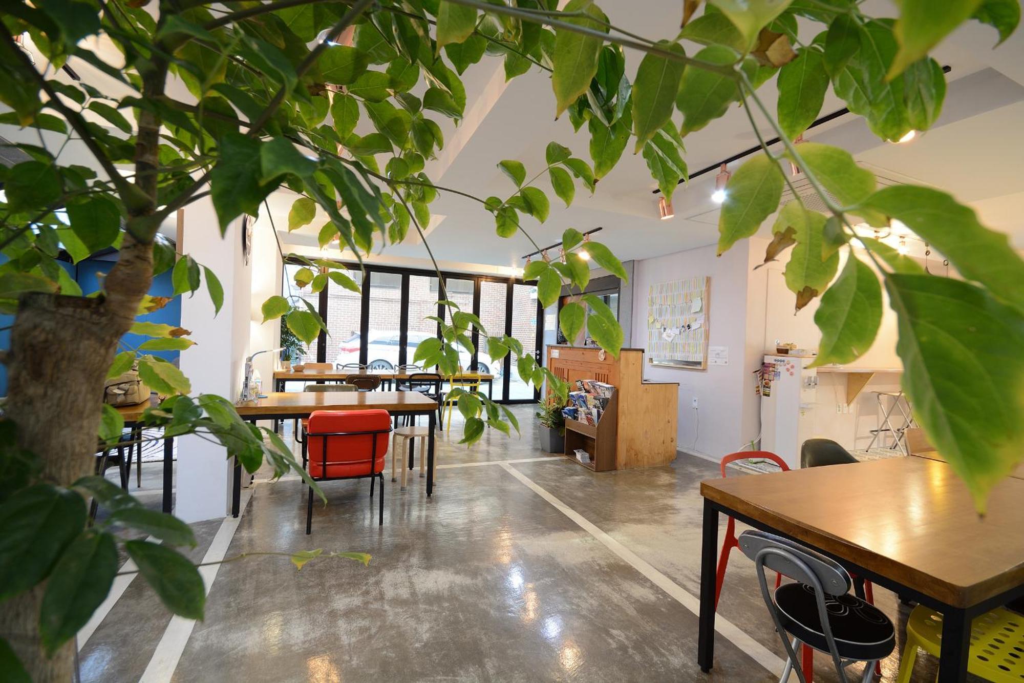 Sunnyhill Hostel Hongdae โซล ภายนอก รูปภาพ